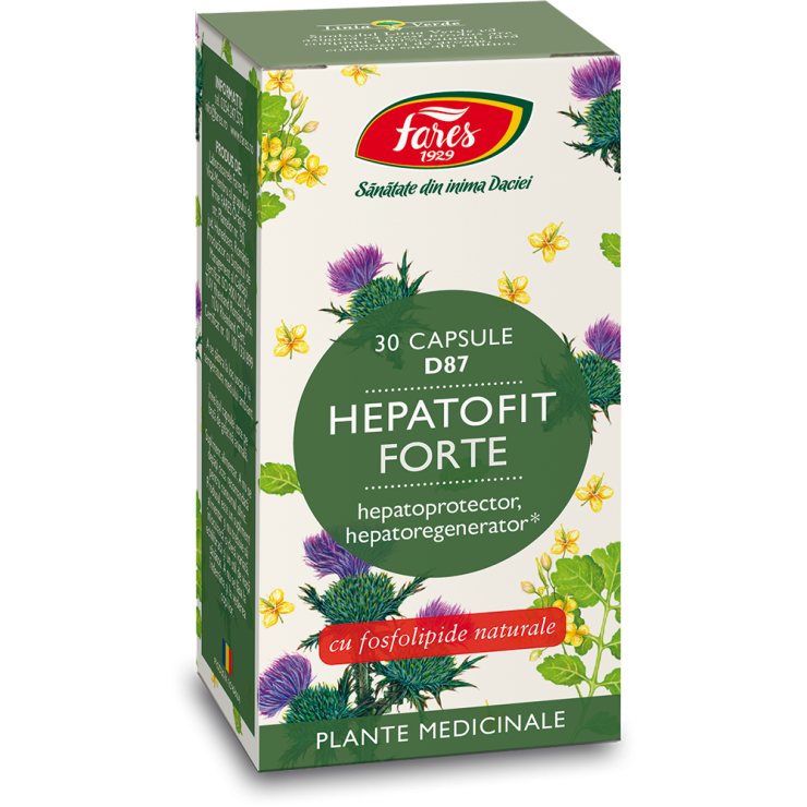 Hepatofit Forte D80, 30 capsule, Fares